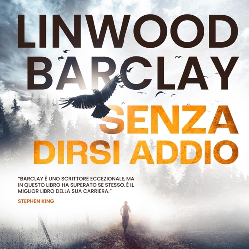 Senza dirsi addio cover