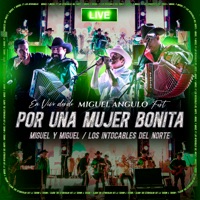 Por Una Mujer Bonita (En Vivo) - Single - Miguel y Miguel & Los Intocables Del Norte
