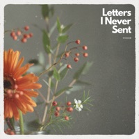 Letters I Never Sent - Single - Fuzion