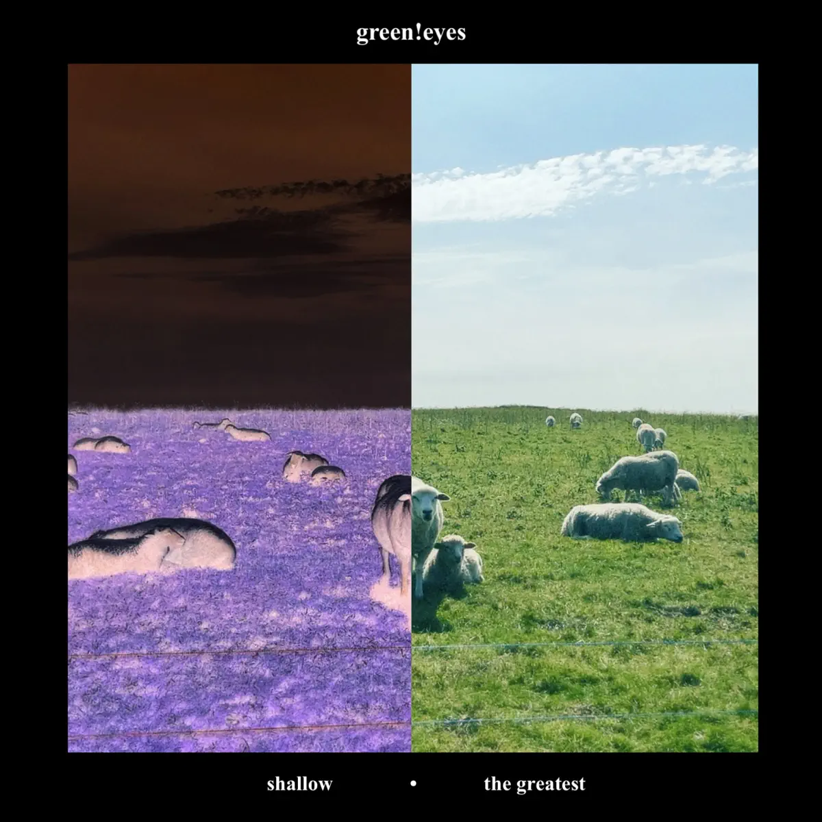 Green!Eyes - Shallow • The Greatest - Single (2024) [iTunes Plus AAC M4A]-新房子