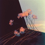 When the World Became Too Much for Me - Single