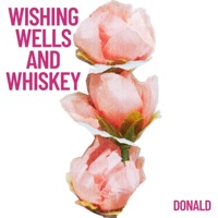 Wishing Wells and Whiskey - Single - Donald