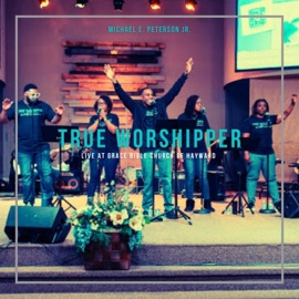 You Are God Alone (feat. VERITVS) [Live] Michael E. Peterson Jr.