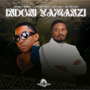 Indoni Yamanzi (feat. Dj Skizoh BW & DJ Kap)