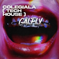 COLEGIALA (TECH HOUSE) - Single - Krylin & GALFLY