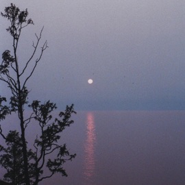 Yakamoz Claptu & Beatific Vision