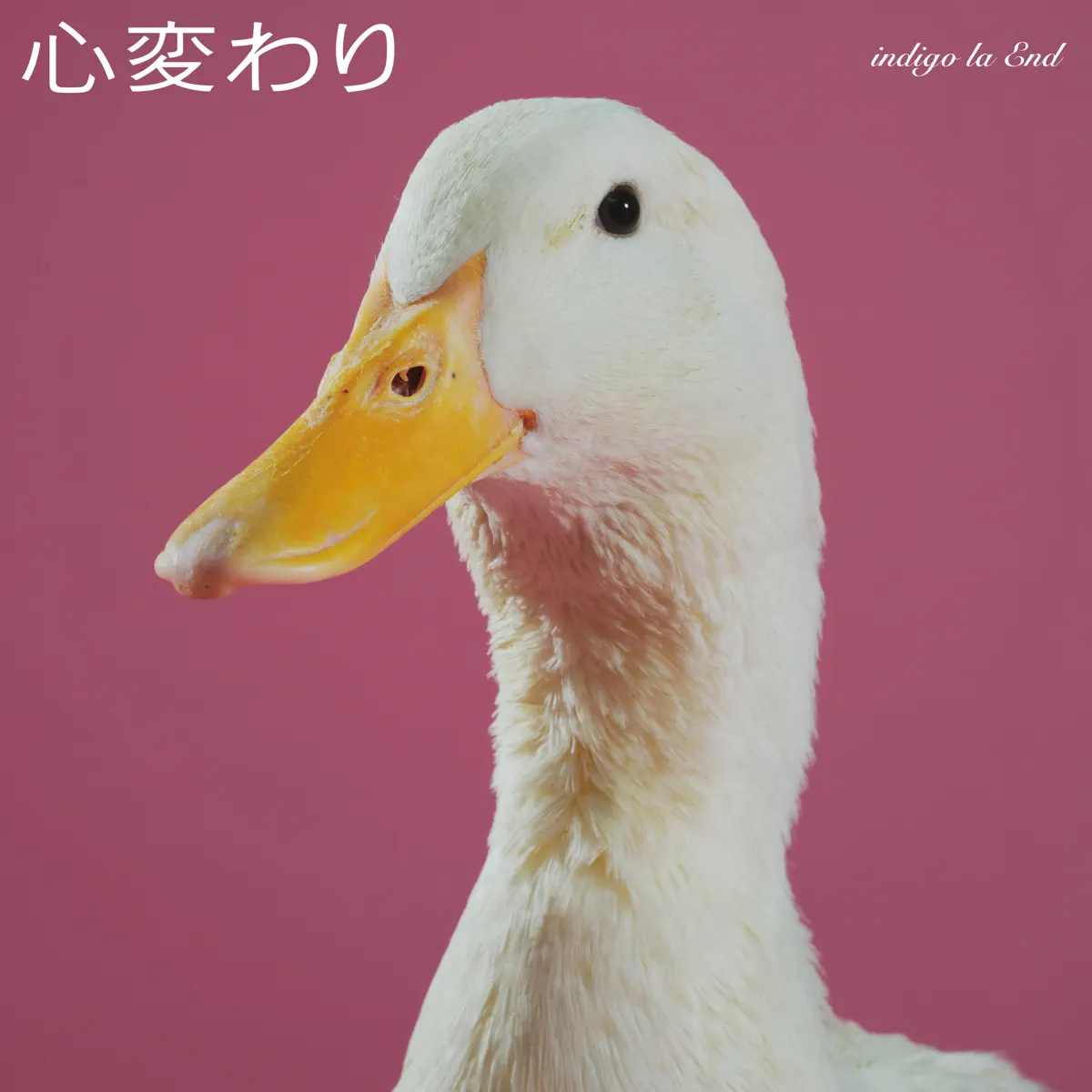 indigo la End - 心変わり - Single (2024) [iTunes Plus AAC M4A]-新房子