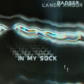 In My Sock (feat. Landn Amour) Snacking Badger