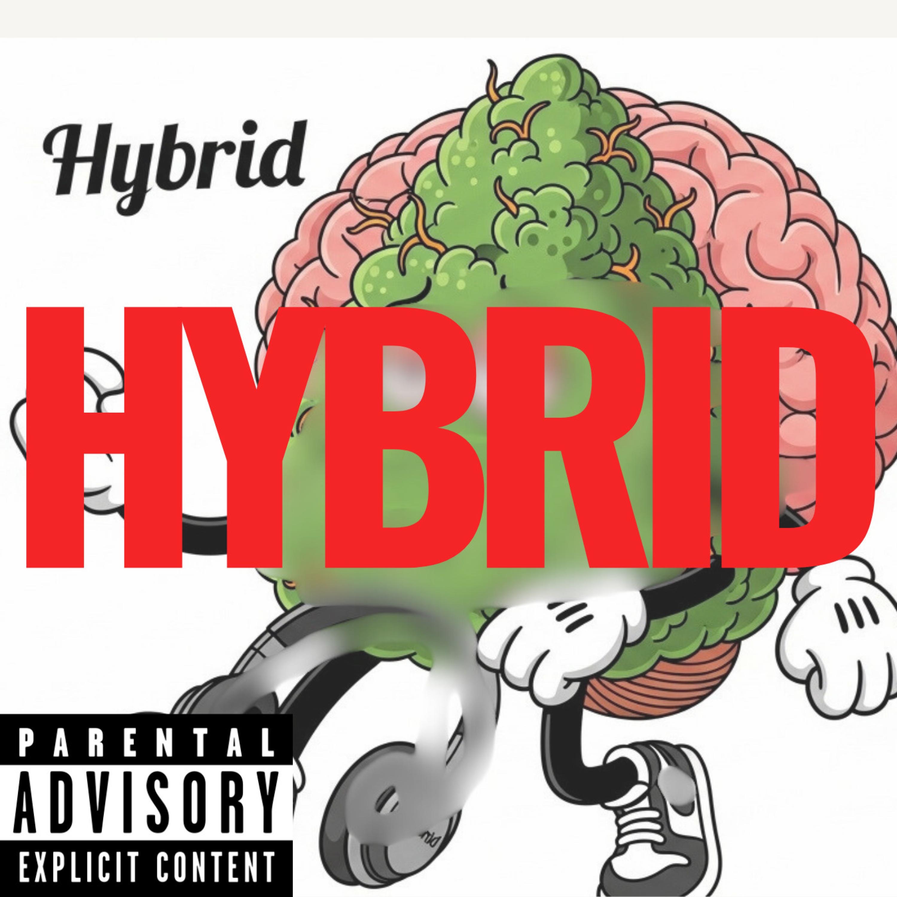 HYBRID