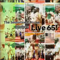 I Tried Jesus — The Sensational Brown Brothers