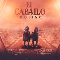 El Caballo Mojino - Single - Privilegio & La Novedad Norteña de Israel Leyva