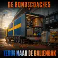 Terug Naar De Ballenbak