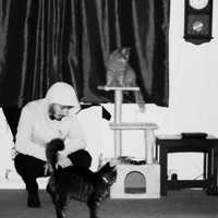 ADHD (feat. ToyQueens) - Single - Baffle T