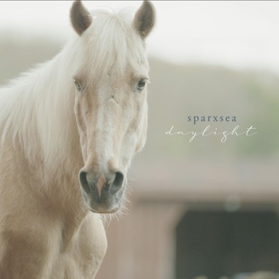 Daylight - Single