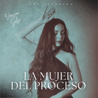 La Mujer Del Proceso (Versión Salsa) - Single - Gaby Zambrano
