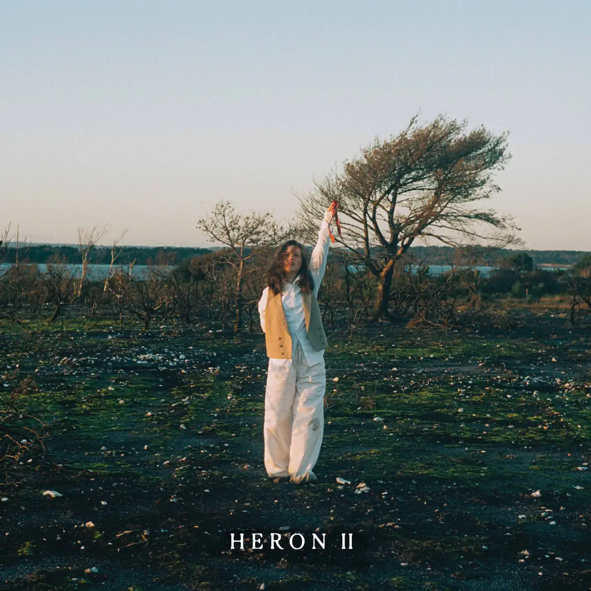 Alice Merton - Heron II (2024) [iTunes Plus AAC M4A]-新房子