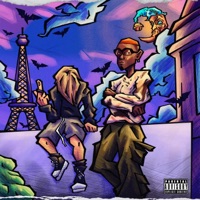WEEKEND/FRANCE (feat. Kash Kage) - Single - VVS Velli