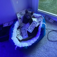 look, stormi (feat. Toxik & 8rna) - Single - Settapik