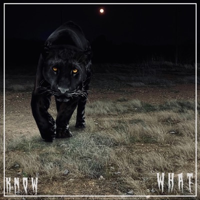 KNOW WHAT? (feat. Yela Smoke) - Single