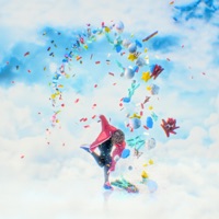 Basket Boi - Single - Danny Suede