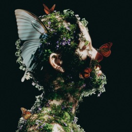 Can't find the feeling Jack Flora