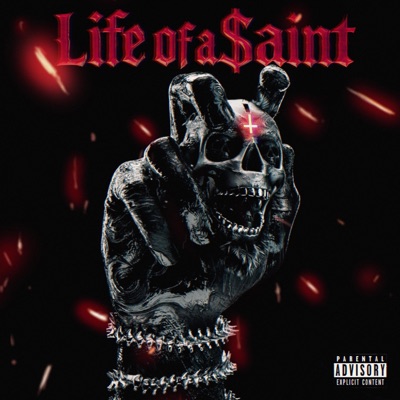 Life of a $aint