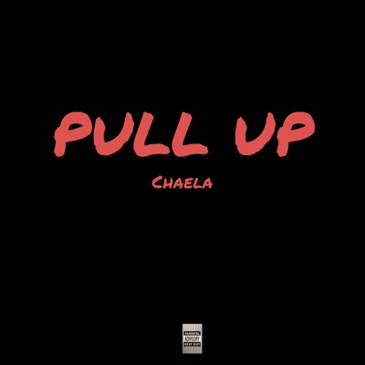 Pull Up - Single