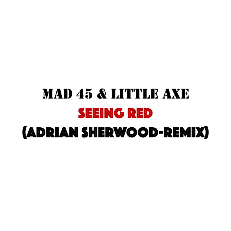 Seeing Red (feat. Little Axe) [Adrian Sherwood Remix]