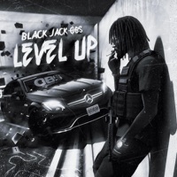 Level Up - Single - Black Jack OBS