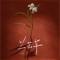 兰花草 (DJ铁柱版)