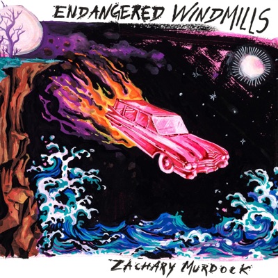 Endangered Windmills