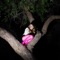 Oblivious - Alexa Cappelli lyrics