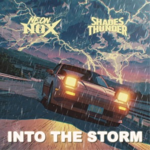 Into the Storm - Single