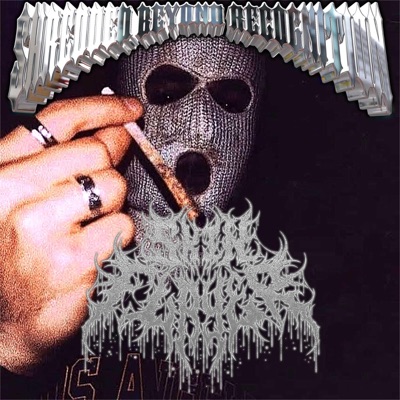 Shredded Beyond Recognition - Single