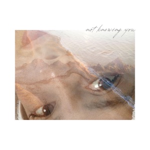 Not Knowing You - Single