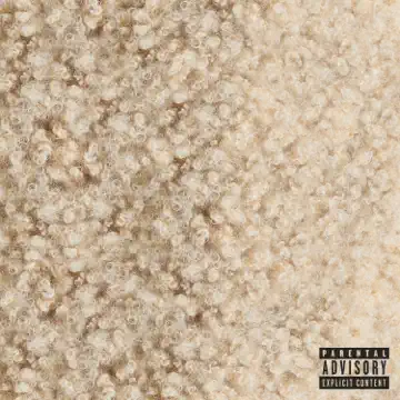 Doja Cat — OKLOSER cover artwork