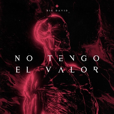 No Tengo El valor - Single