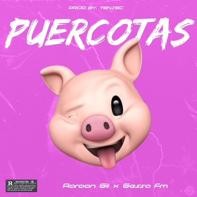 Puercotas (feat. Gessa Fm) - Single