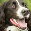 bubu love - National Dog Day