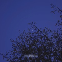 Story Mode - Single - MrNotYet