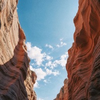 MOODY - Single - ALTUNIN