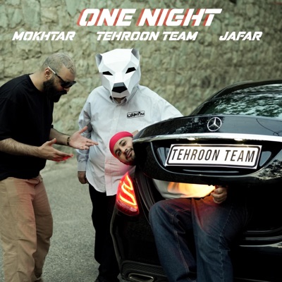 One Night (feat. Tehroon Team & Alireza Mokhtary) - Single