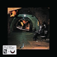 THE BREAKS (feat. shane arnold) - Single - Heres Johnny & LUNAR.