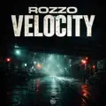 Velocity