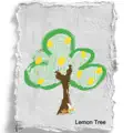 Lemon Tree