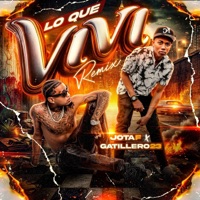 LO QUE VIVI (feat. Gatillero 23) [RMX] - Single - Jota F