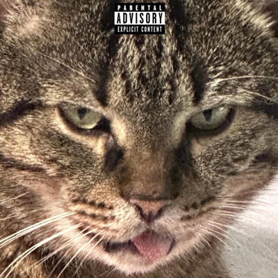 17 - Single