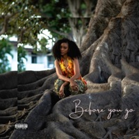 Before you go (feat. Swice) - Single - Sandyjoe