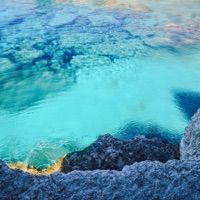 Levei Ela pro Beco do Setor (feat. Ritimadaomt) - Single - Dj Leon Oficial