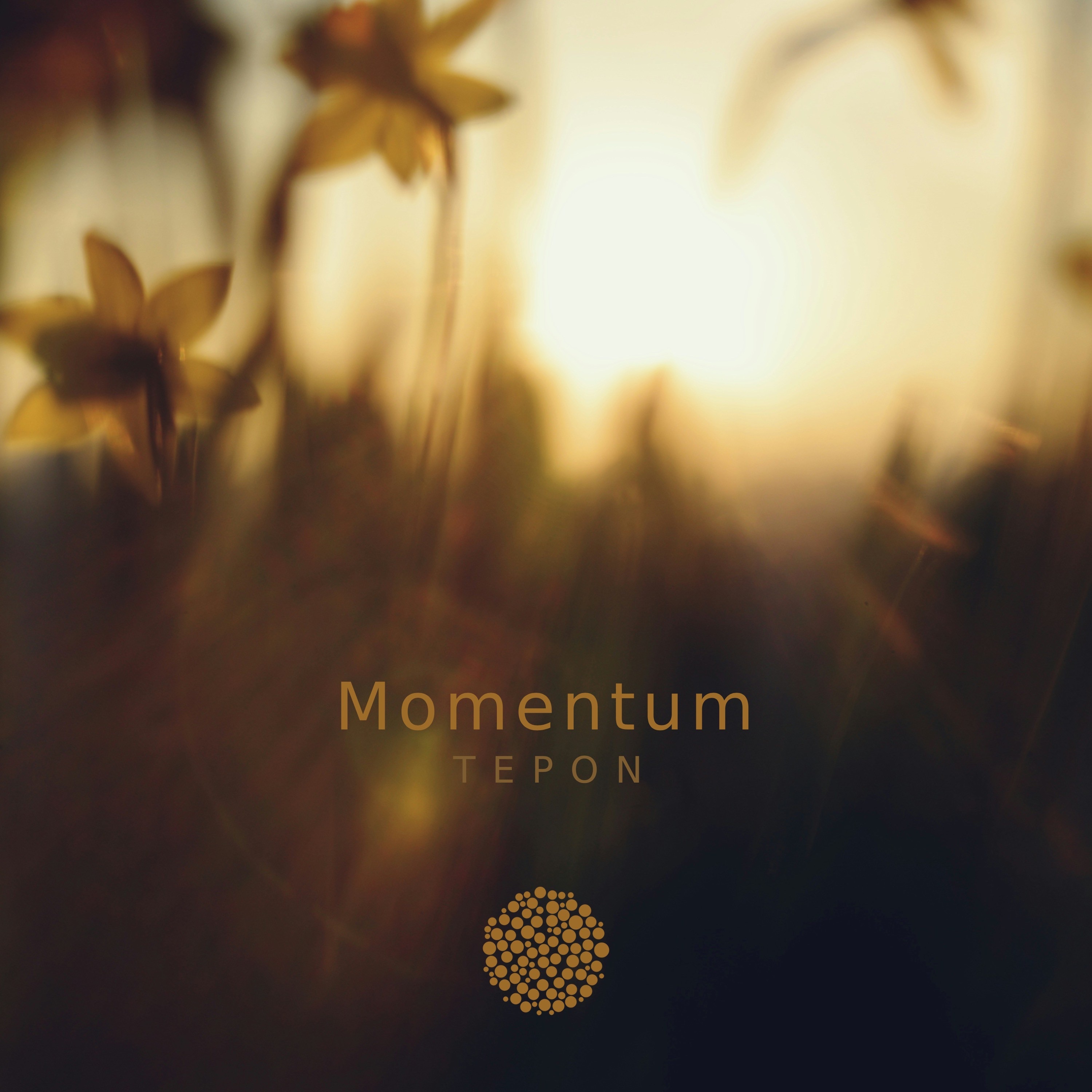 Momentum - Single